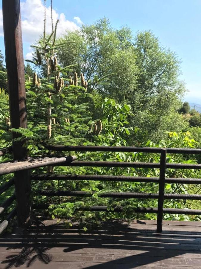 Vathyskia Guesthouse Kato Sinikia Trikalon Luaran gambar