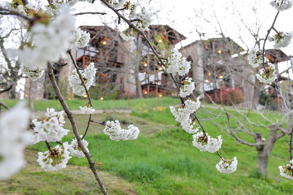 Vathyskia Guesthouse Kato Sinikia Trikalon Luaran gambar